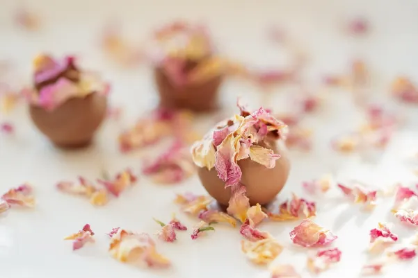 Kasino Haiti Win Android/iOS Aplikácia